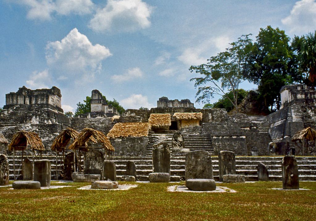 TIKAL plaza stele