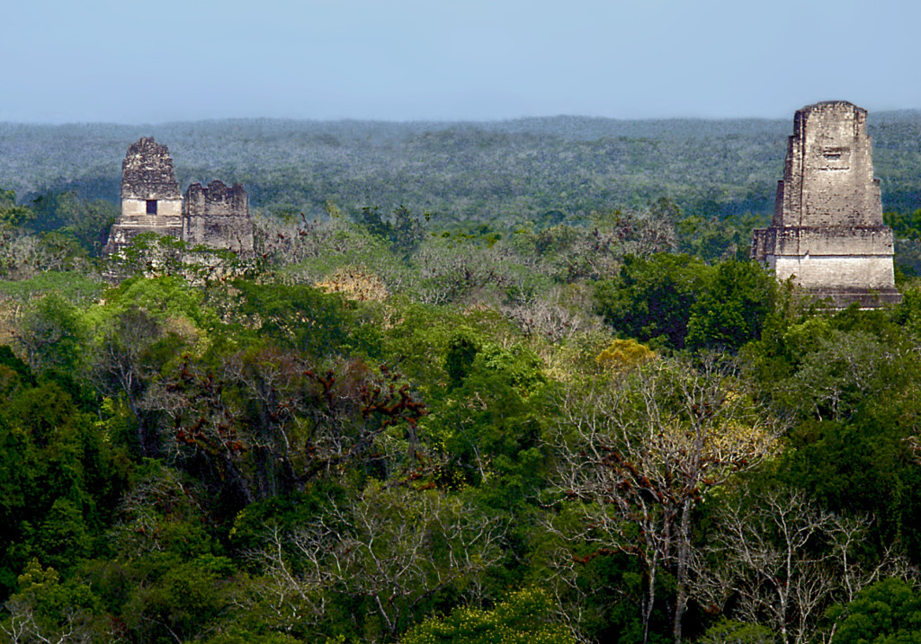 TIKAL roofs over jungle close