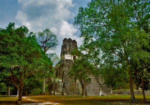 TIKAL temple short TREES