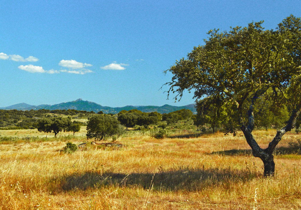 1 Landscape Extremadura