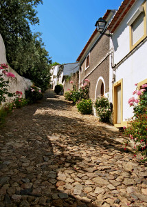 5 CASTELO DE VIDE Street Roses VERT