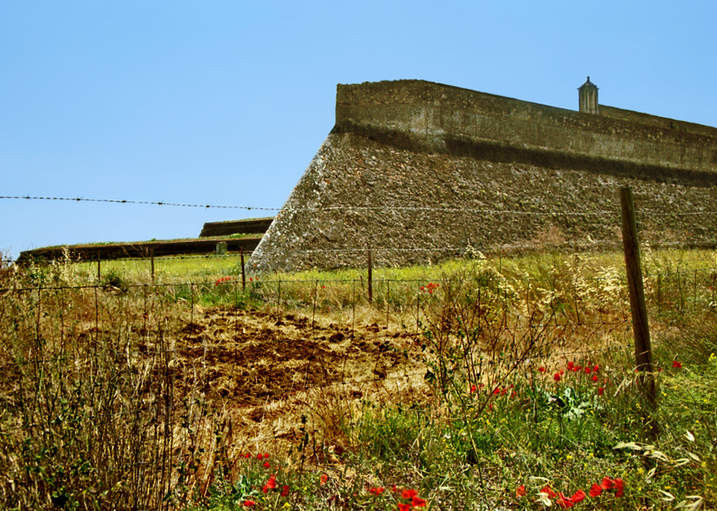 6 ELVAS Barb Wire