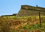 6 ELVAS Barb Wire