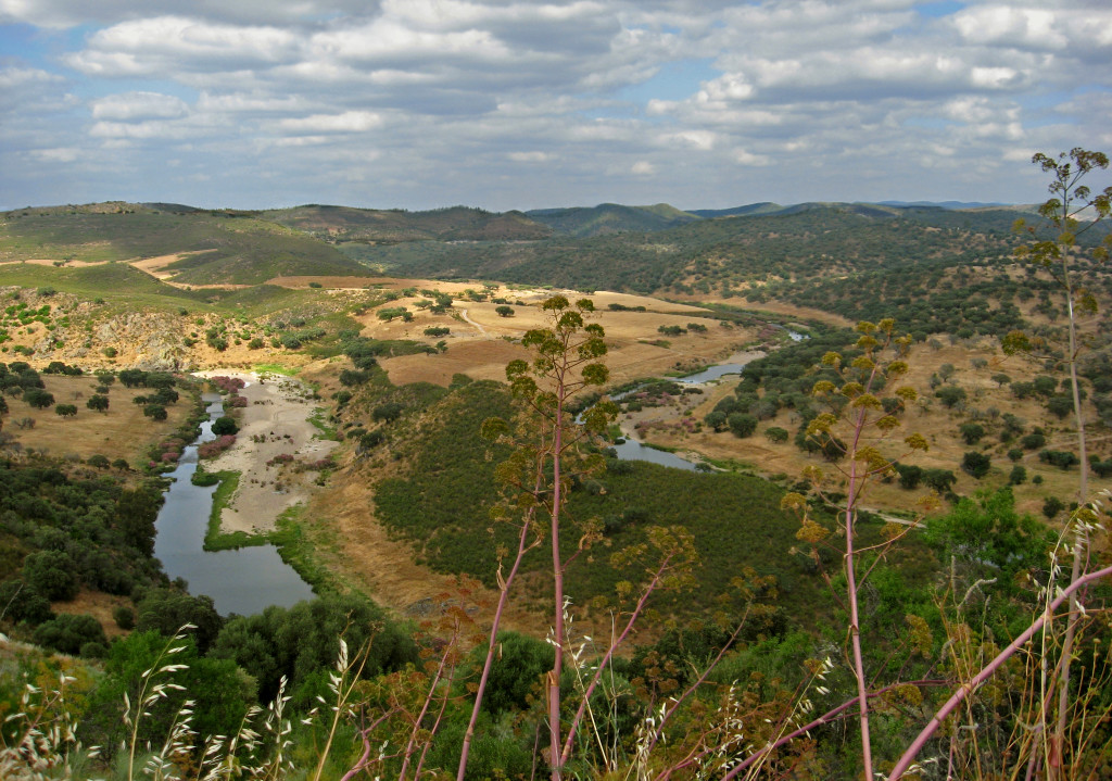 NOUDAR Meanders CROP