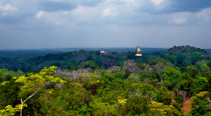 The Majesty of Tikal