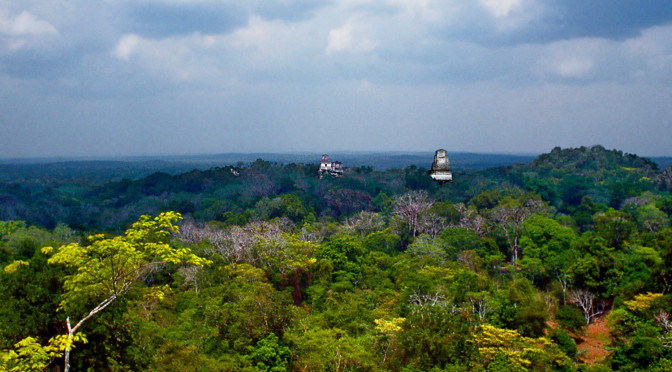 TIKAL roofs over jungle