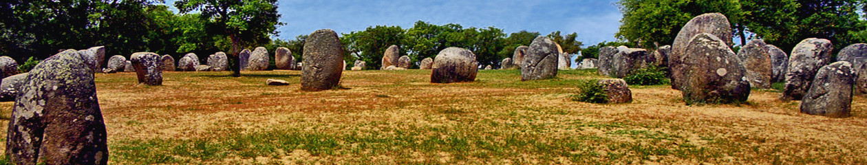 STONES  OF  HISTORY 